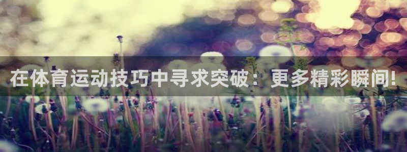 3377体育官网下载平台是正规平台吗:在体育运动技巧中寻求突