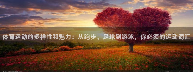 3377体育官方正版app官网:体育运动的多样性和魅力:从跑